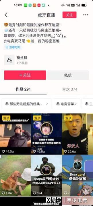 电竞小鸡_电竞吃鸡是什么意思_吃鸡儿电竞